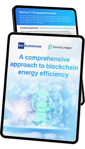 BSV Blockchain - A comprehensive approach to blockchain energy efficiency