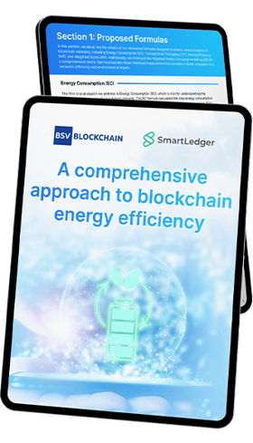BSV Blockchain - A comprehensive approach to blockchain energy efficiency BSV Blockchain - A comprehensive approach to blockchain energy efficiency