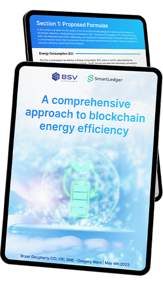 BSVB - Energy Efficiency (eBook)