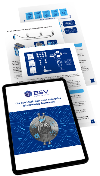 BSVB | Enterprise Cybersecurity (ebook)