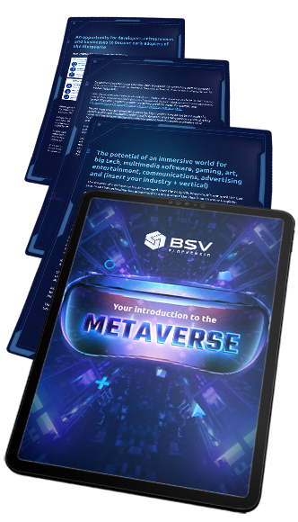 BSVB | Your introduction to the Metaverse (ebook)