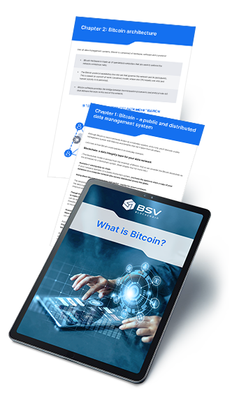 BSVB - What is Bitcoin? (ebook)