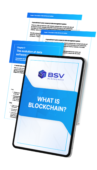BSVB | What is Blockchain? (ebook)