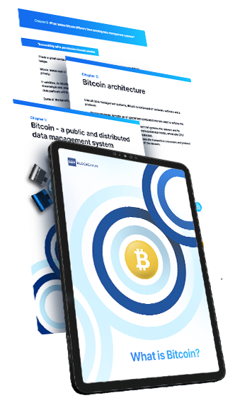 BSVB - What is Bitcoin? (ebook)